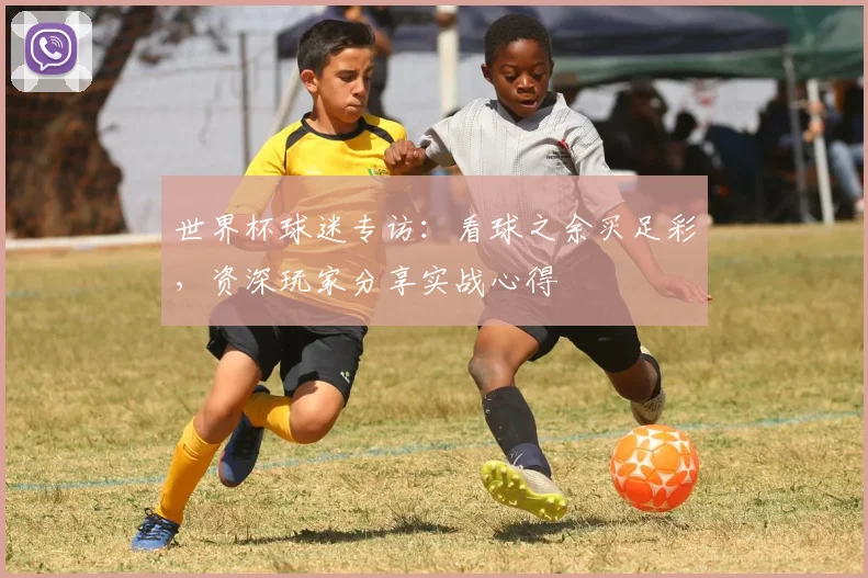 世界杯球迷专访：看球之余买足彩，资深玩家分享实战心得