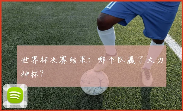 世界杯决赛结果：哪个队赢了大力神杯？