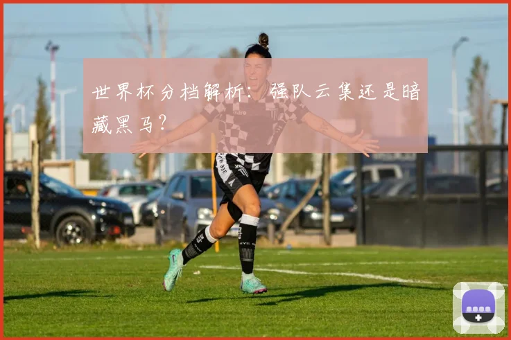 世界杯分档解析：强队云集还是暗藏黑马？