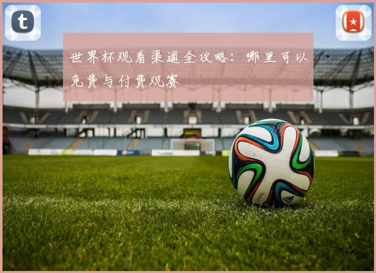 世界杯观看渠道全攻略：哪里可以免费与付费观赛